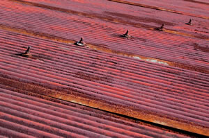 rusted tin roof.jpg